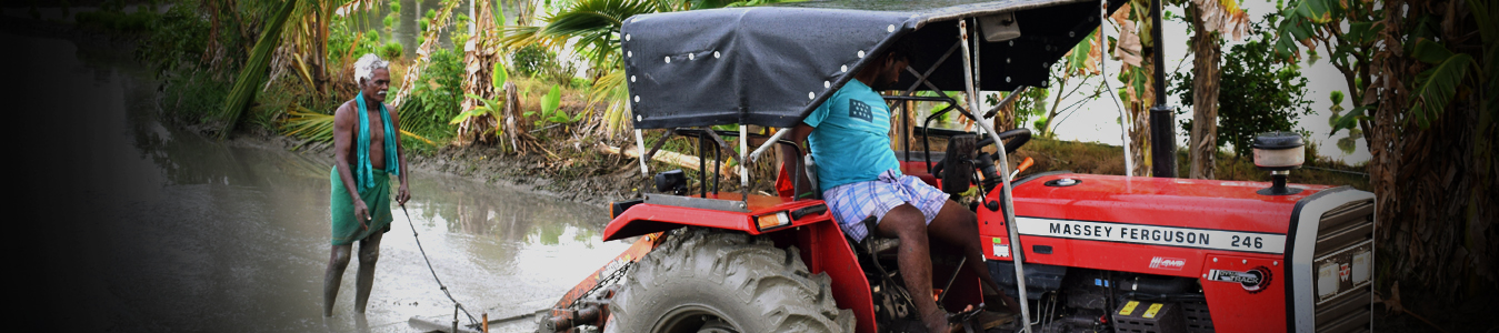 Green Alliance Projects