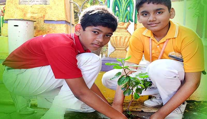 Working Towards Greener Future